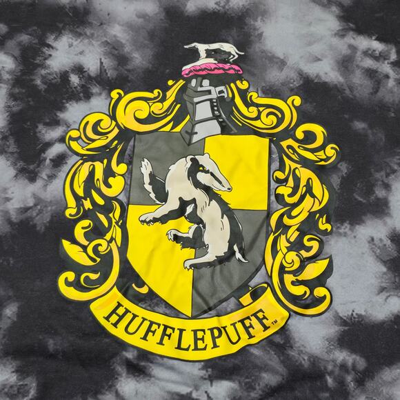 Harry Potter Wizarding World Hogwarts House Kangaroo Hooded Sweater & Pants Set - Picture 3 of 16